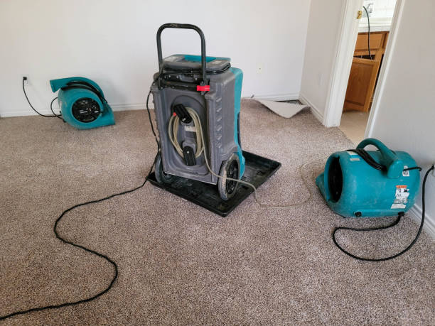  Morgans Point Resort, TX Water damage restoration Pros