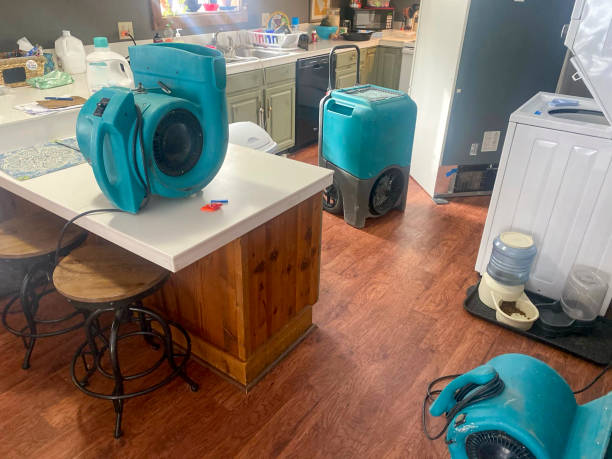 Best 24-hour water damage restoration  in Morgans Point Resort, TX
